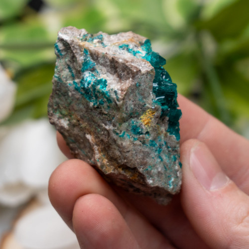 Dioptase #7