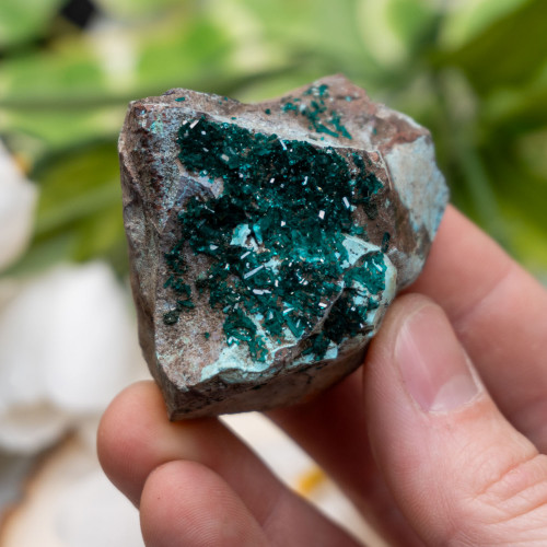 Dioptase #8