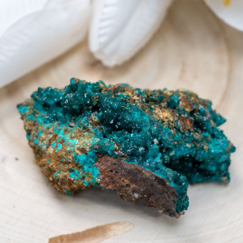 Dioptase #5