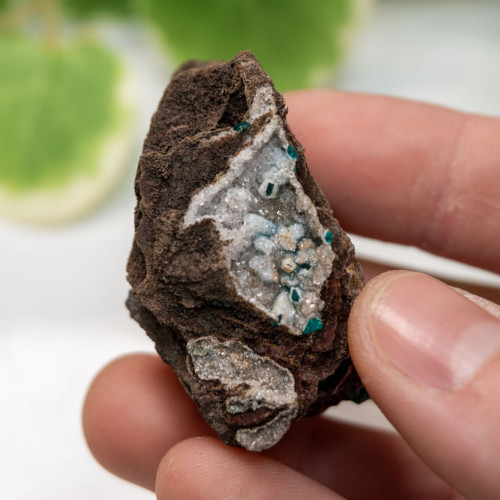 Dioptase with Hemimorphite #3