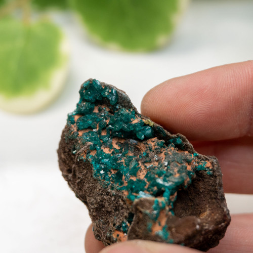 Dioptase with Hemimorphite #3