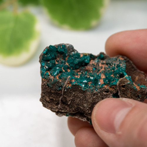 Dioptase with Hemimorphite #3