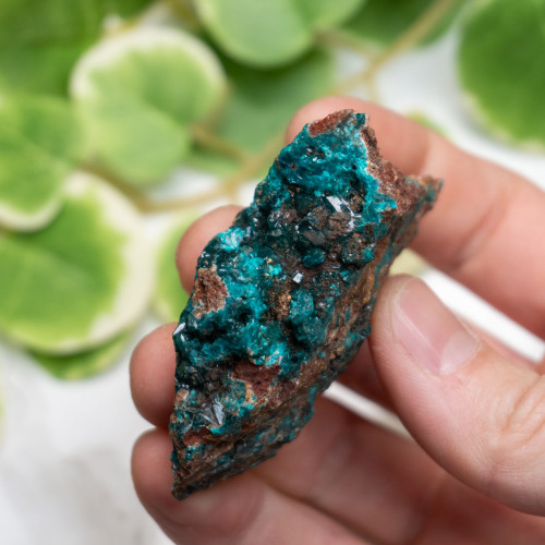 Dioptase #1