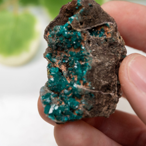 Dioptase with Hemimorphite #3