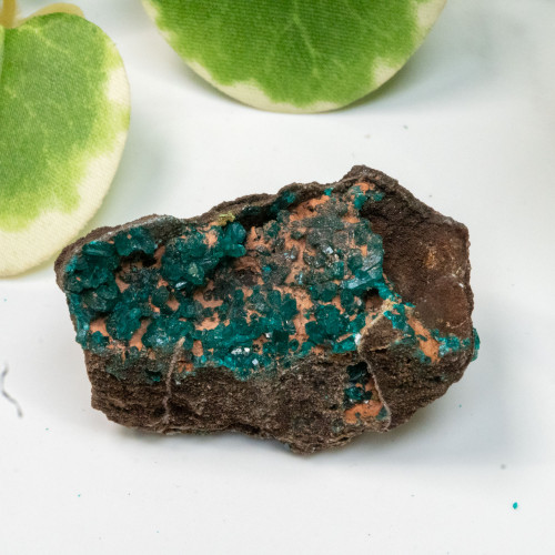 Dioptase with Hemimorphite #3