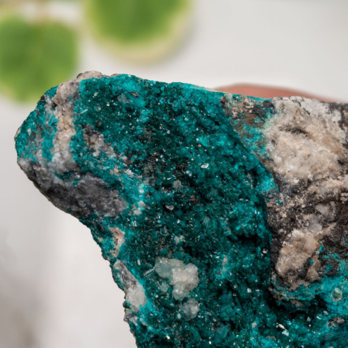 Dioptase #2