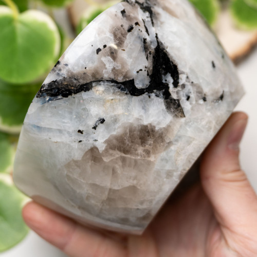 Rainbow Moonstone in Black Tourmaline Bowl #3