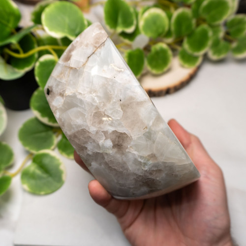 Rainbow Moonstone in Black Tourmaline Bowl #3