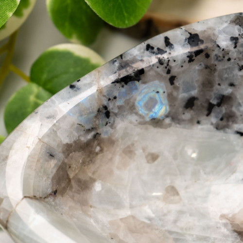 Rainbow Moonstone in Black Tourmaline Bowl #3