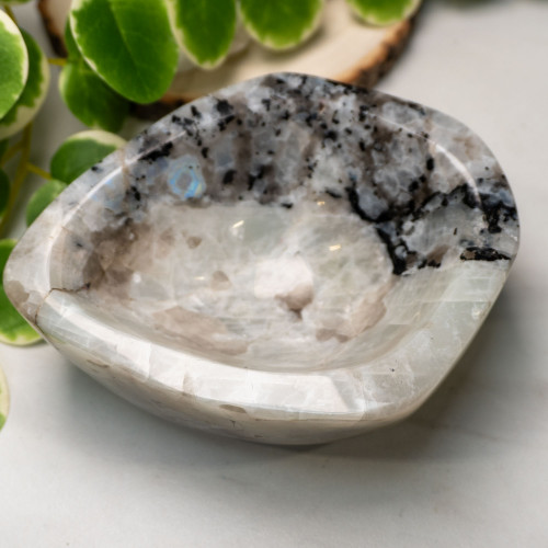 Rainbow Moonstone in Black Tourmaline Bowl #3