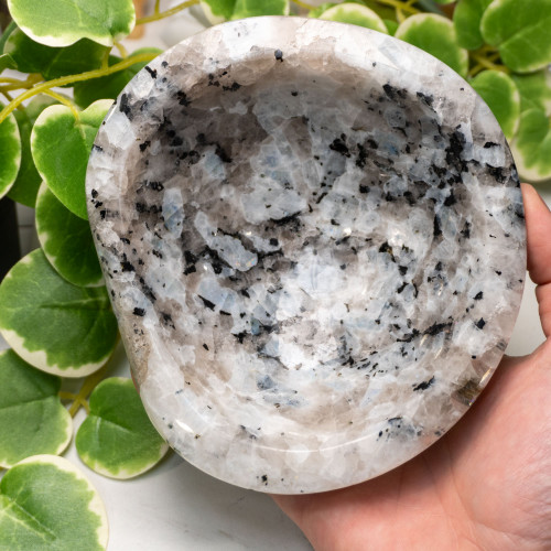 Rainbow Moonstone in Black Tourmaline Bowl #1