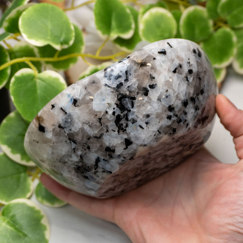 Rainbow Moonstone in Black Tourmaline Bowl #1