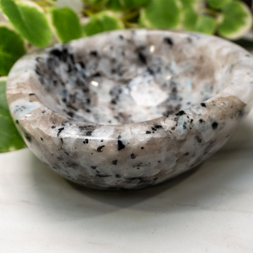 Rainbow Moonstone in Black Tourmaline Bowl #1