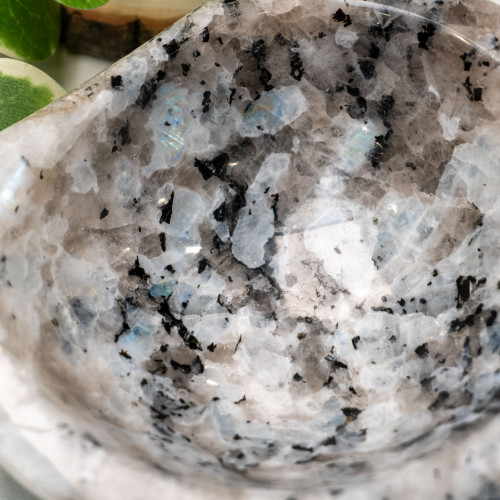 Rainbow Moonstone in Black Tourmaline Bowl #1