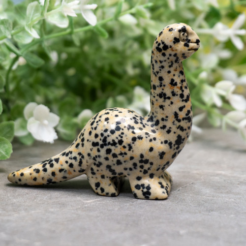 Dalmatian Stone Brachiosaurus