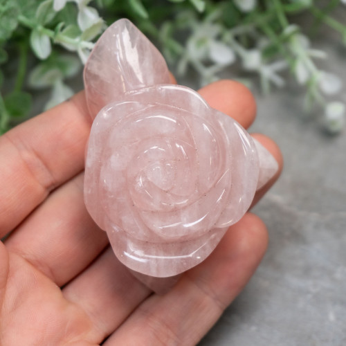 Rose Quartz Rose #1