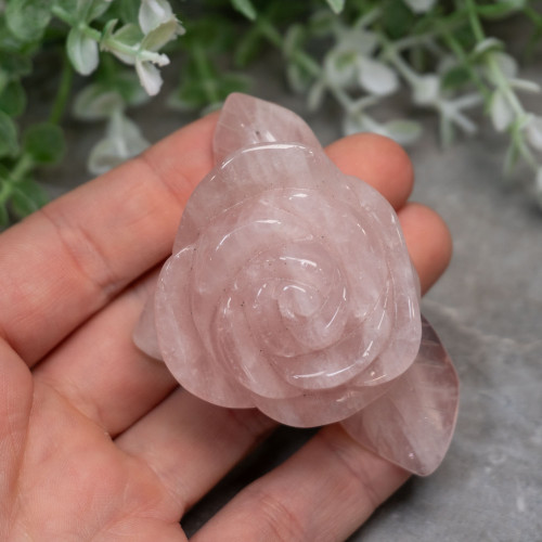 Rose Quartz Rose #1