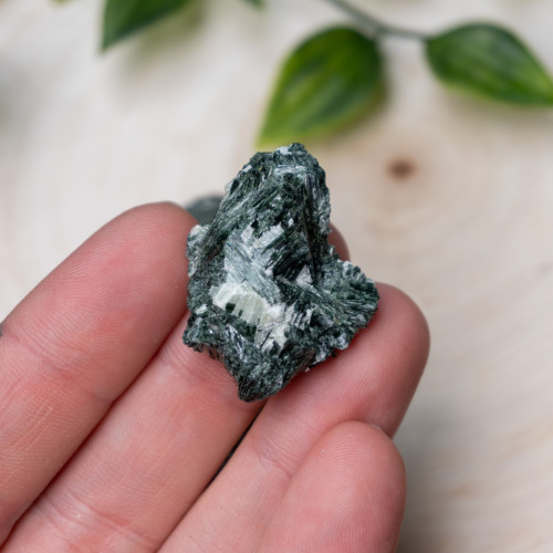 Actinolite Small Raw Random