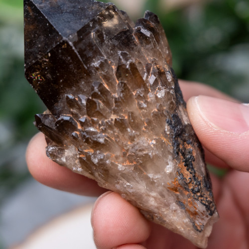 Smoky Quartz Raw Point #1