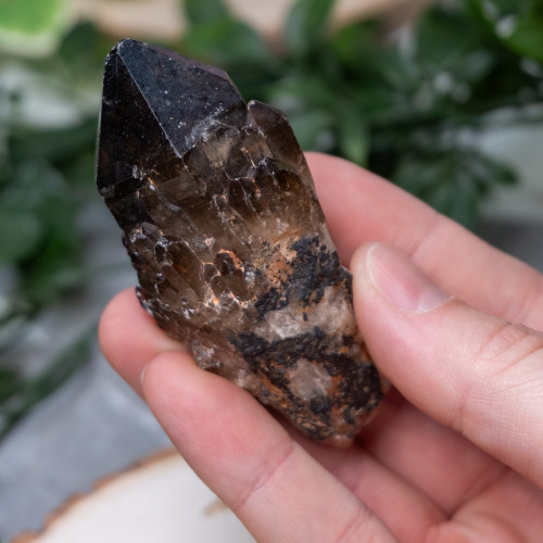 Smoky Quartz Raw Point #1