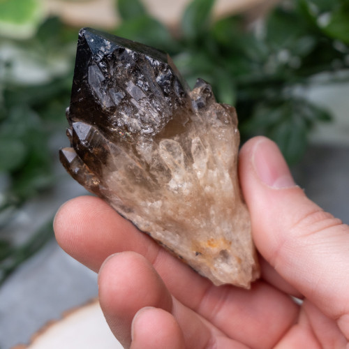 Smoky Quartz Raw Point #1