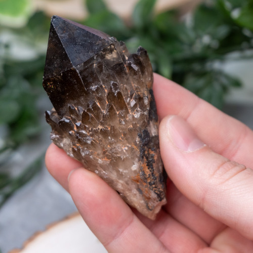 Smoky Quartz Raw Point #1