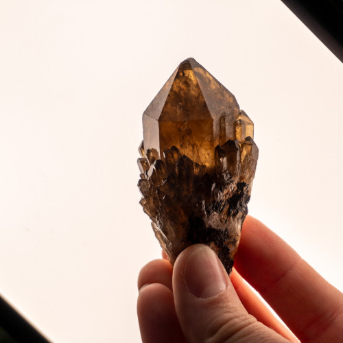 Smoky Quartz Raw Point #1