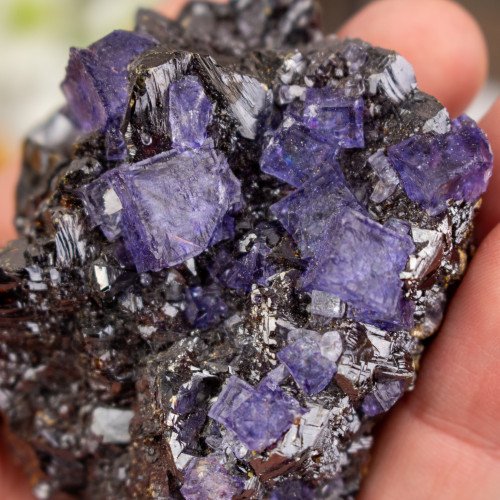 Purple Fluroite on Sphalerite