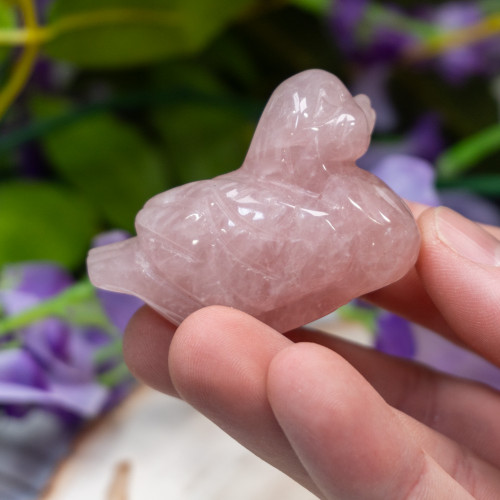 Rose Quartz Duck