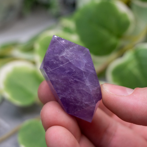 Double Terminated Amethyst #3