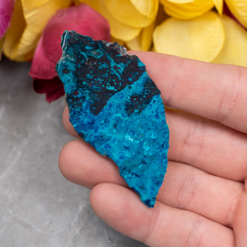 Shattuckite Slab with Tenorite, Azurite, and Chrysocolla #5