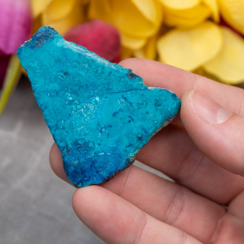 Shattuckite Slab with Tenorite, Azurite, and Chrysocolla #4