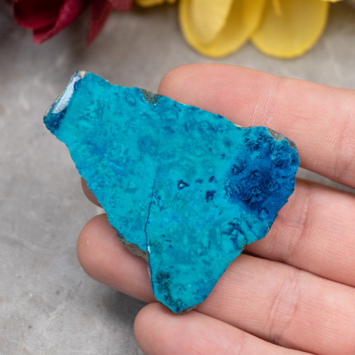 Shattuckite Slab with Tenorite, Azurite, and Chrysocolla #4