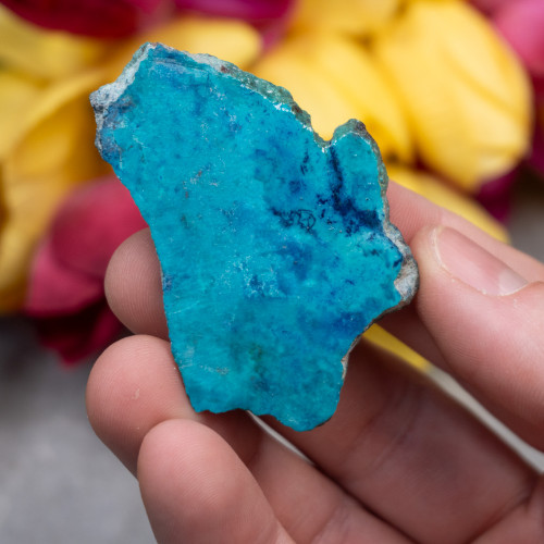 Shattuckite Slab with Tenorite, Azurite, and Chrysocolla #3