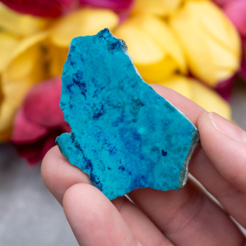 Shattuckite Slab with Tenorite, Azurite, and Chrysocolla #3