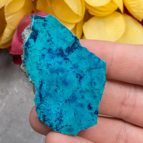 Shattuckite Slab with Tenorite, Azurite, and Chrysocolla #2