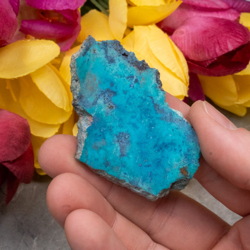 Shattuckite Slab with Tenorite, Azurite, and Chrysocolla #2