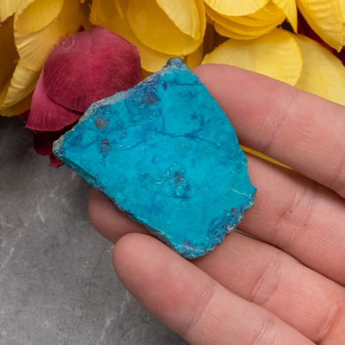 Shattuckite Slab with Tenorite, Azurite, and Chrysocolla #1