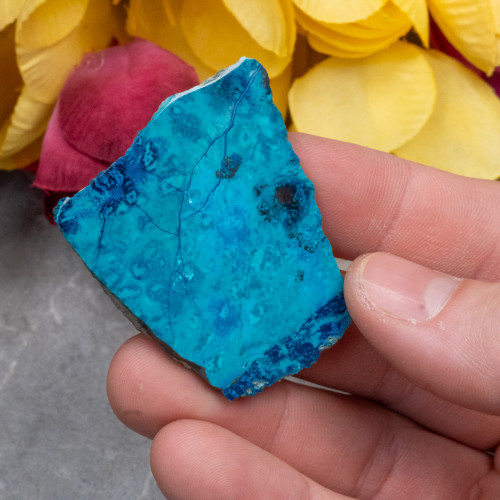 Shattuckite Slab with Tenorite, Azurite, and Chrysocolla #1