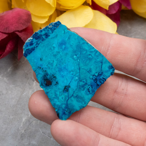 Shattuckite Slab with Tenorite, Azurite, and Chrysocolla #1