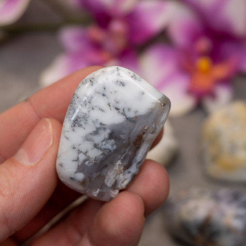 Dendritic Agate Tumble