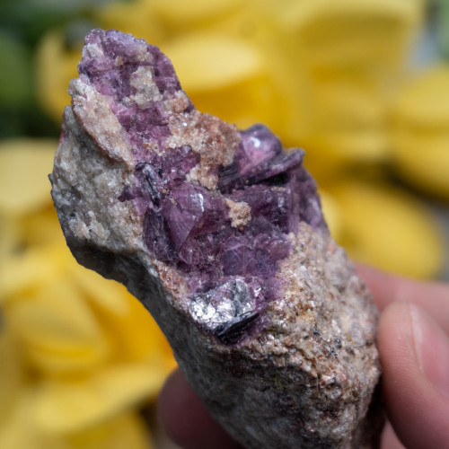 Lepidolite with Pink Tourmaline in Quartz #4