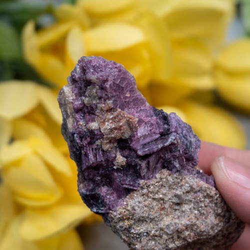 Lepidolite with Pink Tourmaline in Quartz #4