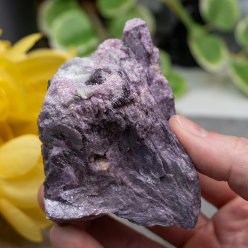 Lepidolite with Pink Tourmaline in Quartz #1