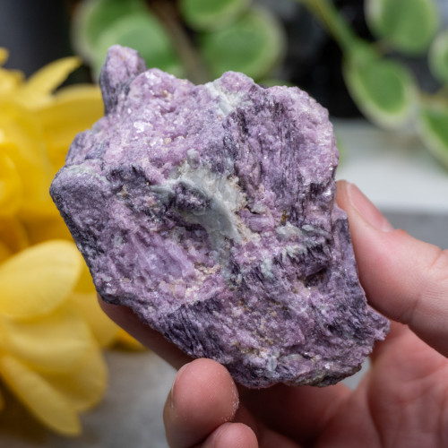 Lepidolite with Pink Tourmaline in Quartz #1