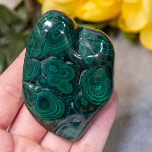 Malachite Polished Piece #5