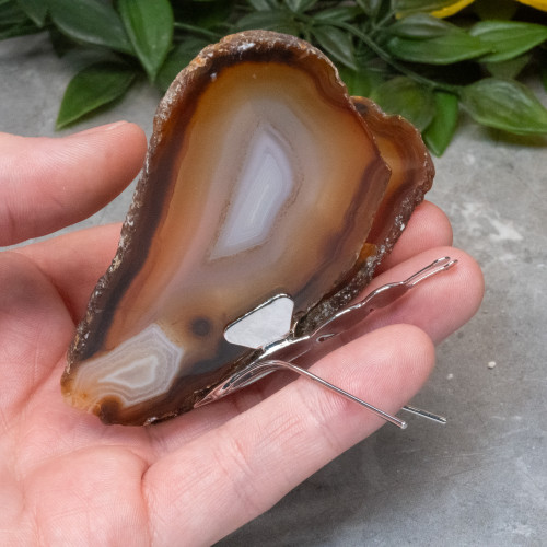 Agate Butterfly #2
