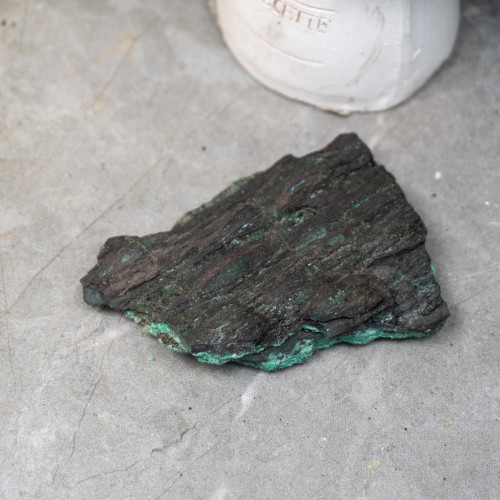 Petrified Wood with Malachite #1