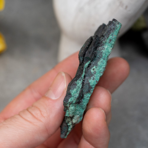 Petrified Wood with Malachite #1