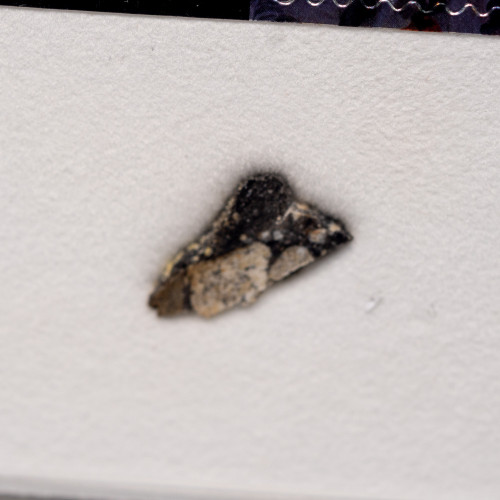 Moon Meteorite Fragment with Collectable Case #2